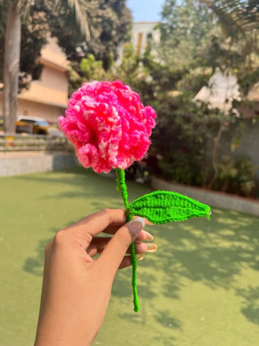 Handmade Crochet Carnation – Forever Flower